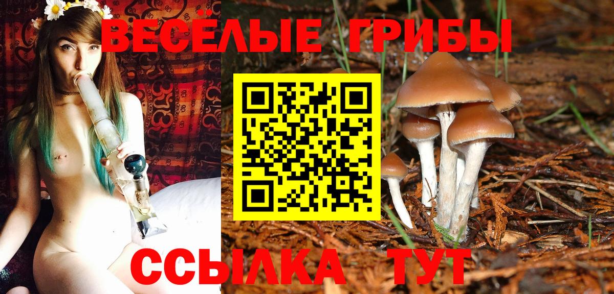 Галлюциногенные грибы MAGIC MUSHROOMS  Вход с VPN  Тольятти 